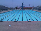 Harris Pools